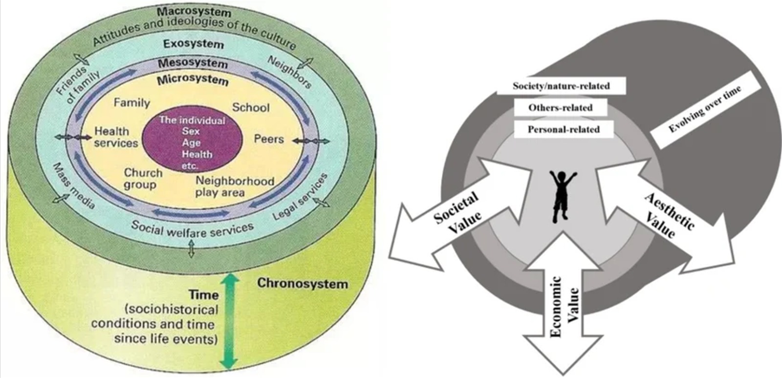 (Left) Bronfenbrenner’s ecological systems theory. From “The Ecology of Human Development: Experiments by Nature and Design,” by U. Bronfenbrenner, 1979, Harvard University Press, pp. 21–28. (Right) A conceptual model illustrating textbook value structures. Self-created by the authors