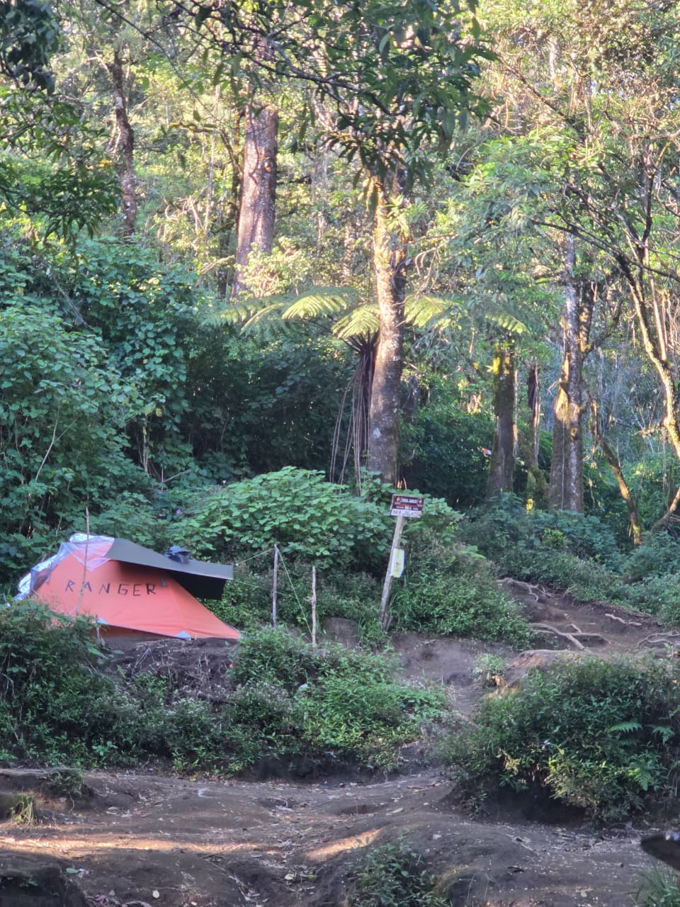 Tenda ranger di Pos 4 Tegal Jamuju.